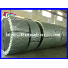 Ep600 / 4 Conveyor Belt Export nach Kuwait